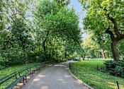 Thumbnail 17 of 17 - A tree-lined path in a park.