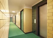 Thumbnail 7 of 9 - A long hallway with doors on both sides and a green carpet.