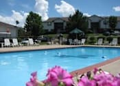 Thumbnail 20 of 28 - A pool surrounded by chairs and flowers with houses in the background.