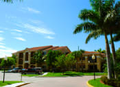 Thumbnail 1 of 15 - exterior with palm trees at Renaissance, Florida
