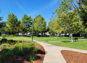 Thumbnail 4 of 21 - Sidewalks throughout community at DOVER WOODS SENIOR APARTMENTS, California, 94533