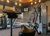 Thumbnail 8 of 13 - fitness center with cardio and weight equipment at Sanctuary Cove, Florida