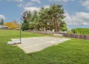 Thumbnail 22 of 28 - Apartments in Sherwood, OR- Township Sherwood- Basketball Court with Bench and Various Trees