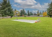 Thumbnail 21 of 28 - Sherwood Apartments - Basket Ball Court Surrounded By Grass.