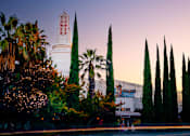 Thumbnail 69 of 81 - a building with palm trees and a street in front of it