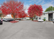 Thumbnail 18 of 18 - Towncenter Exterior - ample parking spaces