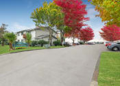 Thumbnail 17 of 18 - Towncenter exterior - entry drive with lush landscaping