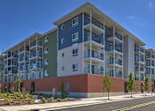 Thumbnail 27 of 29 - Apt Building area at VINTAGE AT MILL CREEK, Mill Creek, Washington