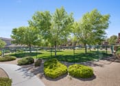 Thumbnail 14 of 15 - Courtyard Green Space at VINTAGE AT SEVEN HILLS 55+ COMMUNITY, Henderson, NV 89052