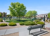 Thumbnail 15 of 15 - Dog Park at VINTAGE AT SEVEN HILLS 55+ COMMUNITY, Nevada, 89052