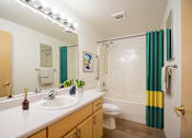 Thumbnail 7 of 37 - A bathroom with a white counter top and a green shower curtain.at Vancouver Mall Apartments, Vancouver ? 