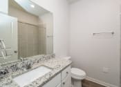 Thumbnail 6 of 23 -  Three Bedroom single family homes for rent in fort Worth, TX- Oak Ridge - An interior shot of the bathroom featuring granite countertops and a large mirror