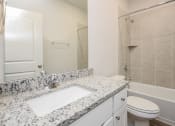 Thumbnail 19 of 23 -  Three Bedroom single family homes for rent in fort Worth, TX- Oak Ridge - An interior shot of the bathroom featuring granite countertops and a large mirror