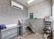 Thumbnail 20 of 25 - Pet spa at pet-friendly apartments in North Georgetown TX near I-35