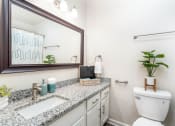 Thumbnail 10 of 20 - a bathroom with a toilet and a sink and a mirror