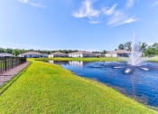 Thumbnail 62 of 62 - a fountain in the pond with houses in the background