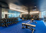Thumbnail 18 of 24 - A gym with a blue carpet and a variety of equipment.