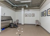 Thumbnail 17 of 24 - A room with a dog paw print on the floor and pictures on the wall.