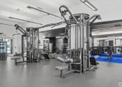 Thumbnail 17 of 46 - a gym with weights machines and other equipment in a hall