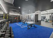 Thumbnail 20 of 46 - the gym at the adagio