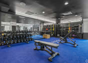 Thumbnail 16 of 46 - a view of the gym with weights and dumbbells