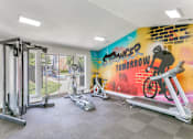 Thumbnail 12 of 23 - our apartments showcase a beautiful gym