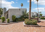 Thumbnail 23 of 34 - A house with a palm tree in front.