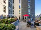 Thumbnail 35 of 50 - courtyard