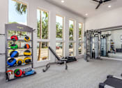 Thumbnail 12 of 34 - A well-equipped home gym with a variety of exercise equipment.