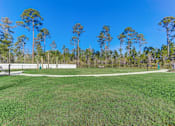 Thumbnail 56 of 56 - a large grassy area with trees in the background