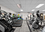 Thumbnail 59 of 66 - A gym with treadmills and exercise balls.