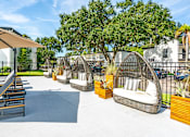 Thumbnail 8 of 34 - A sunny day at a resort with loungers and trees.