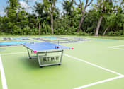 Thumbnail 9 of 34 - A Butterfly table tennis table is in the middle of a green court.