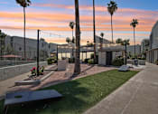 Thumbnail 20 of 34 - North Mountain Village Apartments - Ardella on 28th - Outdoor Courtyard with Grass Patch and Cornhole Boards, Overhead String Lights, and Palm Trees.