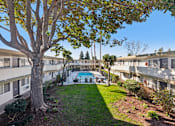 Thumbnail 10 of 15 - A tree in front of apartment buildings with a pool in the back.