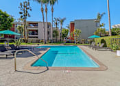 Thumbnail 1 of 32 - A swimming pool surrounded by palm trees and lounge chairs.
