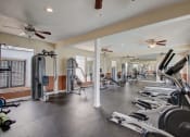 Thumbnail 3 of 15 - Derby Park Apartments in Daytona Beach, FL photo of with strength training machines.