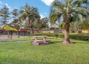 Thumbnail 23 of 28 - Addison Lane Apartment homes in Gainesville Florida photo of photo of a picnic table in a park with two palm trees