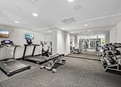 Thumbnail 3 of 31 - Fully equipped fitness center with cardio and strength training equipment at Riverview One Apartments in Downtown Miami near Brickell and Government Center.