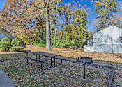 Thumbnail 17 of 23 - Element at 4411 Macon Apartments A picnic table and two benches are set up in a park with trees and a white tent in the background.