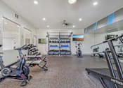 Thumbnail 22 of 32 - A well-equipped gym with a variety of exercise machines.