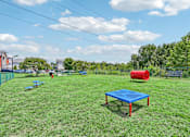 Thumbnail 36 of 48 - A blue pet obstacle at the Hawks Landing pet park in Hickory NC sitting in the middle of a grassy field