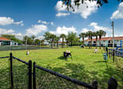 Thumbnail 16 of 28 - A dog park with several dogs playing and a fence surrounding the area.