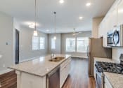 Thumbnail 4 of 19 - 	Three-Bedroom Homes for Rent in Houston, TX - East Heights - Kitchen with Granite and Quartz Counter Tops, and Stainless Steel Appliances