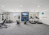 Thumbnail 28 of 40 - A well-equipped gym with a variety of exercise machines and weights.