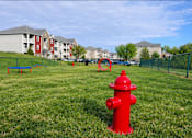 Thumbnail 14 of 21 - Red fire hydrant in landscaped grassy field at Hawks Landing Apartments in Hickory, NC