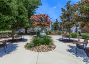 Thumbnail 17 of 29 - Sage at 1240 apartments in Mount Pleasant South Carolina photo of courtyard