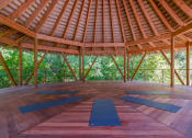 Thumbnail 8 of 16 - Affinitee at Stone Mountain Apartments photo of a yoga shala with yoga mats on the floor and trees in the background