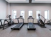 Thumbnail 21 of 37 - Pet-friendly Miami Beach apartment fitness center featuring treadmills and ellipticals in a clean, well-lit workout space.