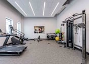 Thumbnail 2 of 37 - Pet-friendly Miami Beach apartment fitness center featuring treadmills, free weights, and weight machines in a clean, well-lit space.